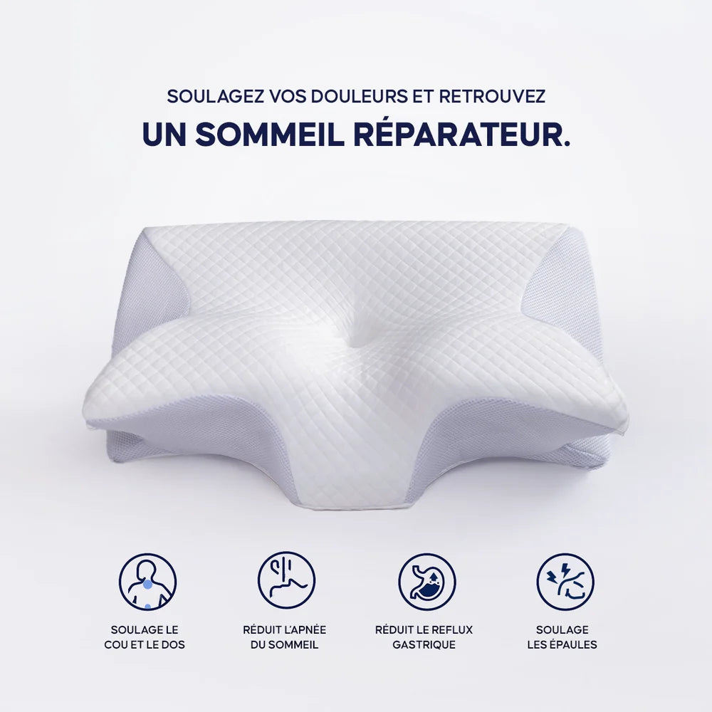 Coussin Ergonomique - Cocoonia